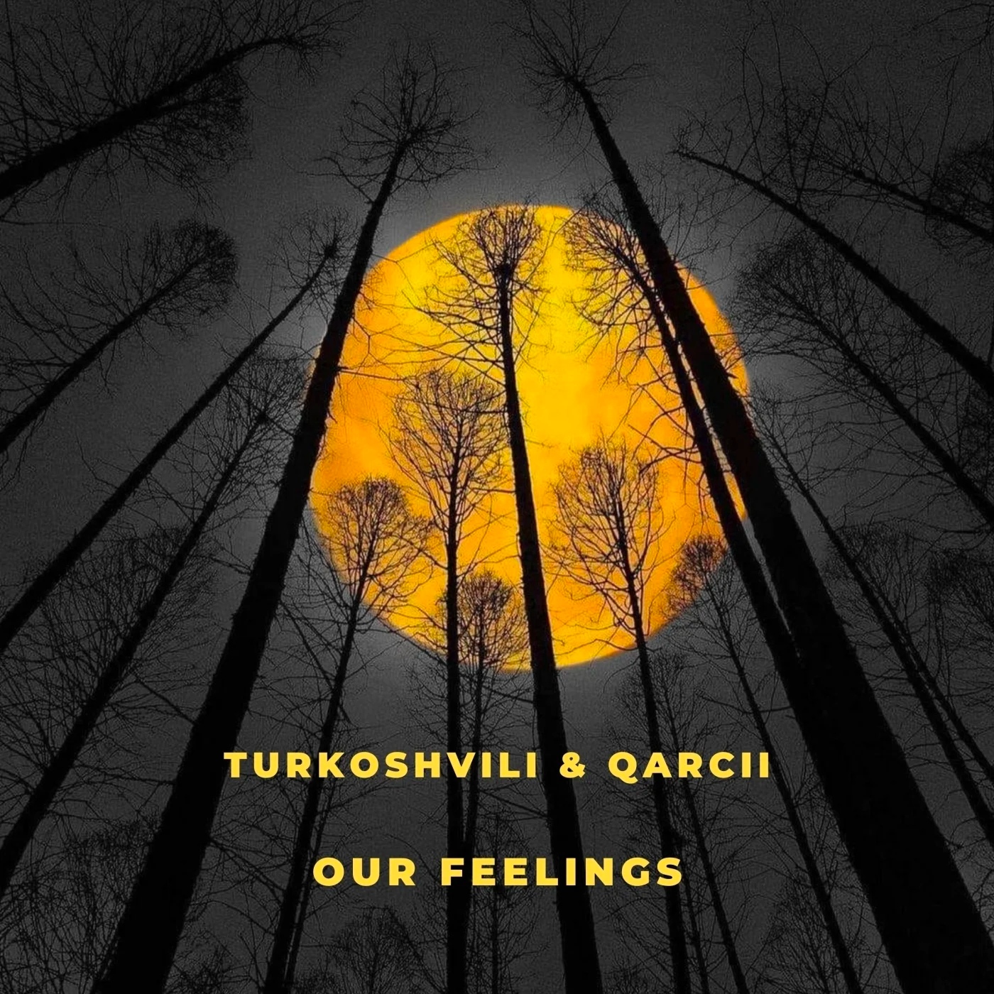 Qarcii & Turkoshvili - Our Feelings (Original Mix)