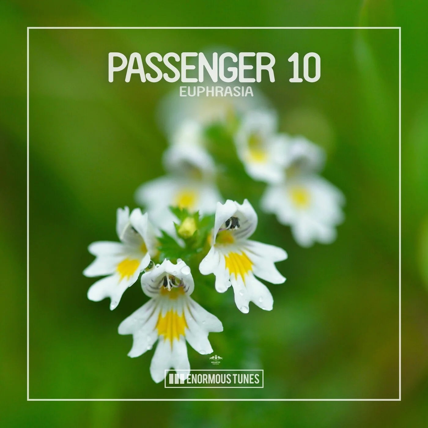 Passenger 10 - Euphrasia (Extended Mix)