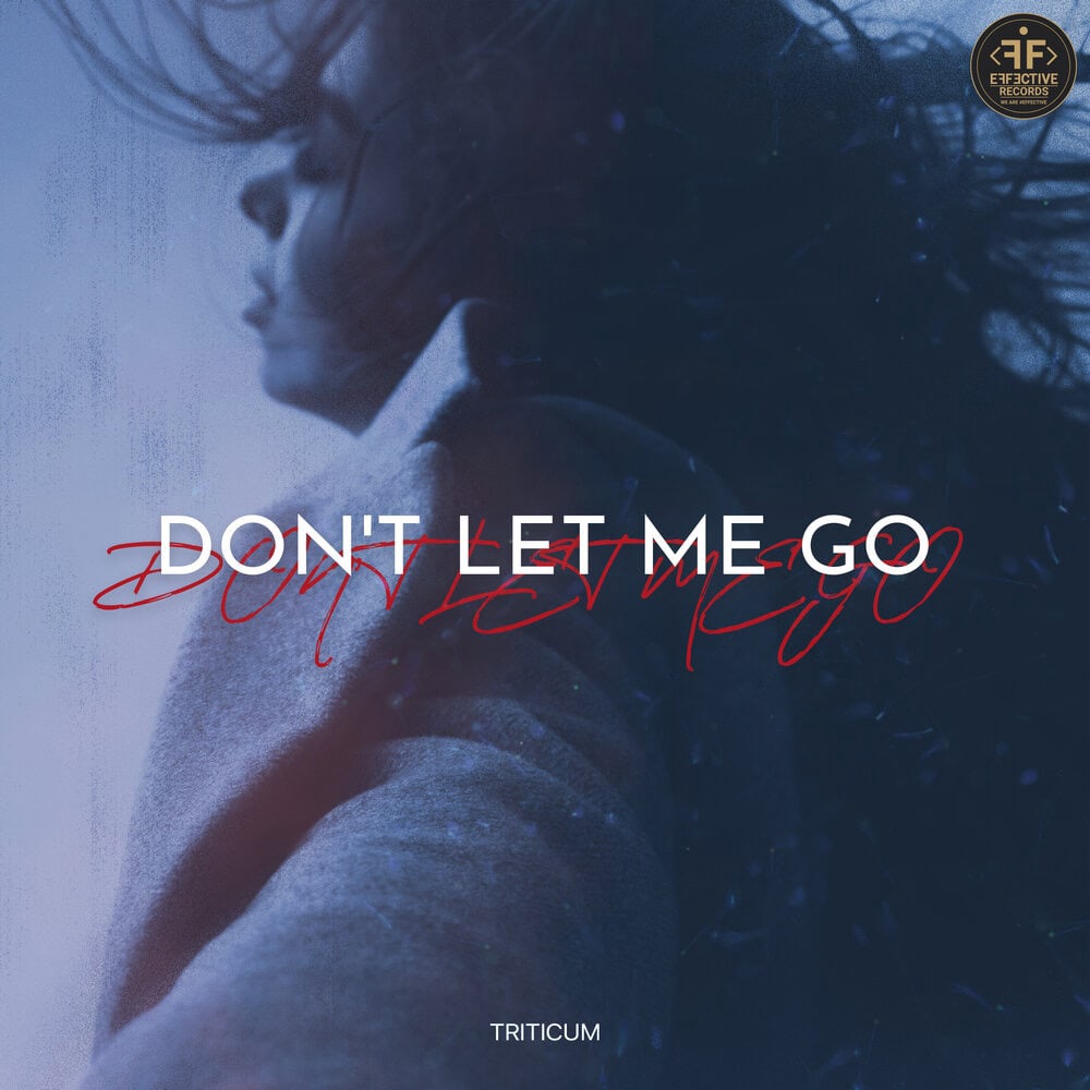 Triticum - Don't Let Me Go (Original Mix)