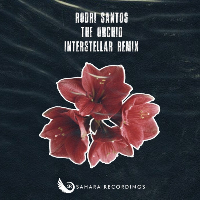 Rodri Santos - The Orchid (Interstellar Remix)