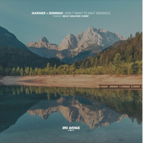 Chris Domingo, Mariner - I Don't Want To Wait (Soulfeed Remix)