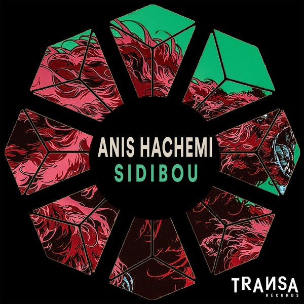 Anis hachemi - Sidibou (Original Mix)