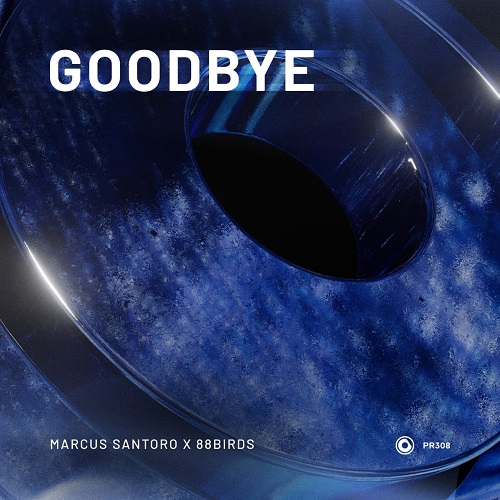 Marcus Santoro & 88Birds - Goodbye (Extended Mix)