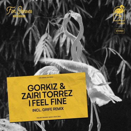 Gorkiz & Zairi Torrez - I Feel Fine (Grife Remix)