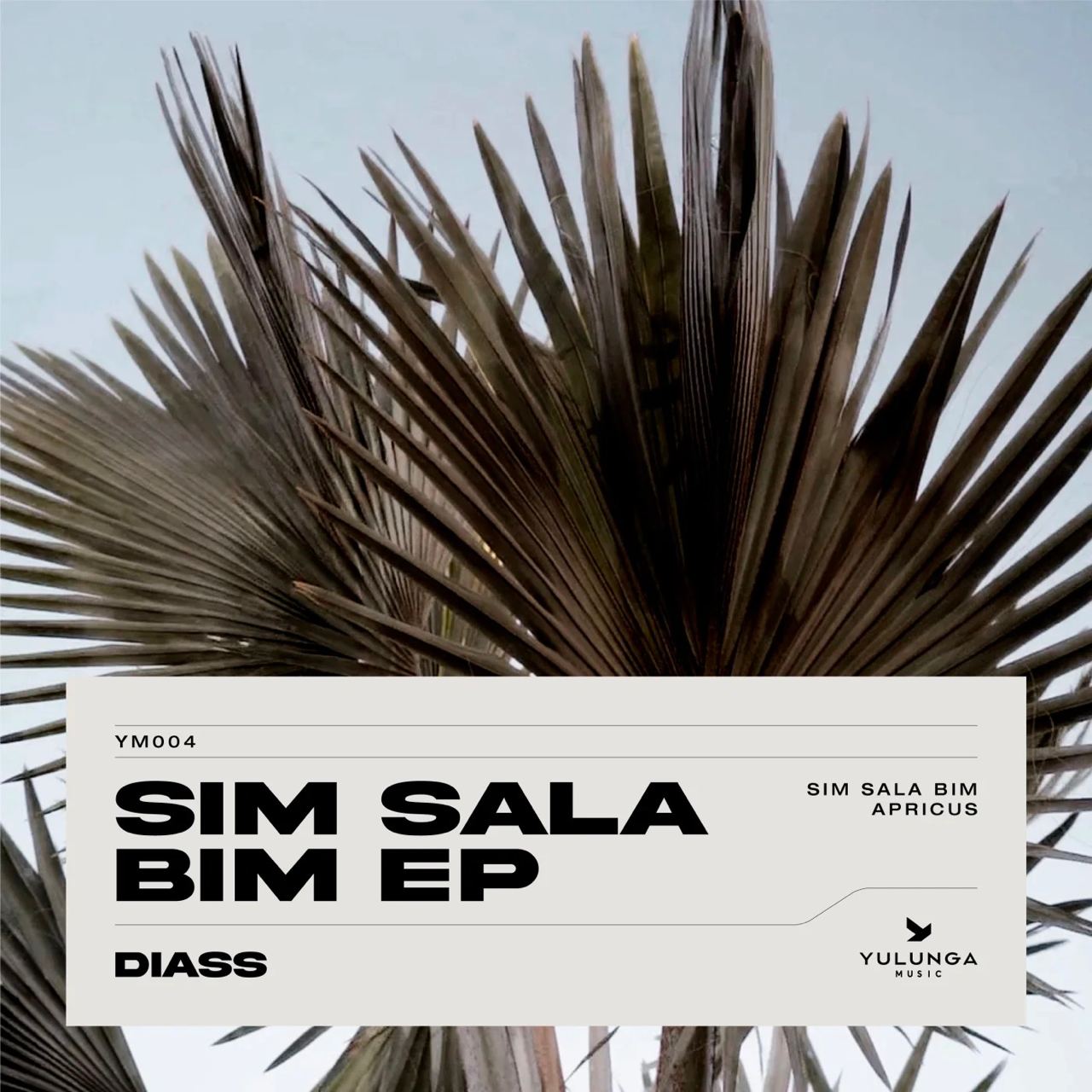 Diass - Sim Sala Bim (Original Mix)