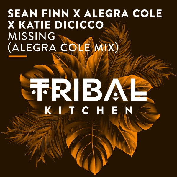 Sean Finn, Alegra Cole, & Katie DiCicco - Missing (Alegra Cole Mix)