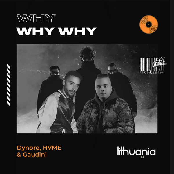 Dynoro, Hvme, Gaudini - Why Why Why