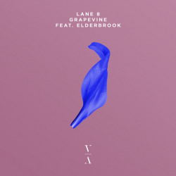 Lane 8, Elderbrook - Grapevine (Original Mix)