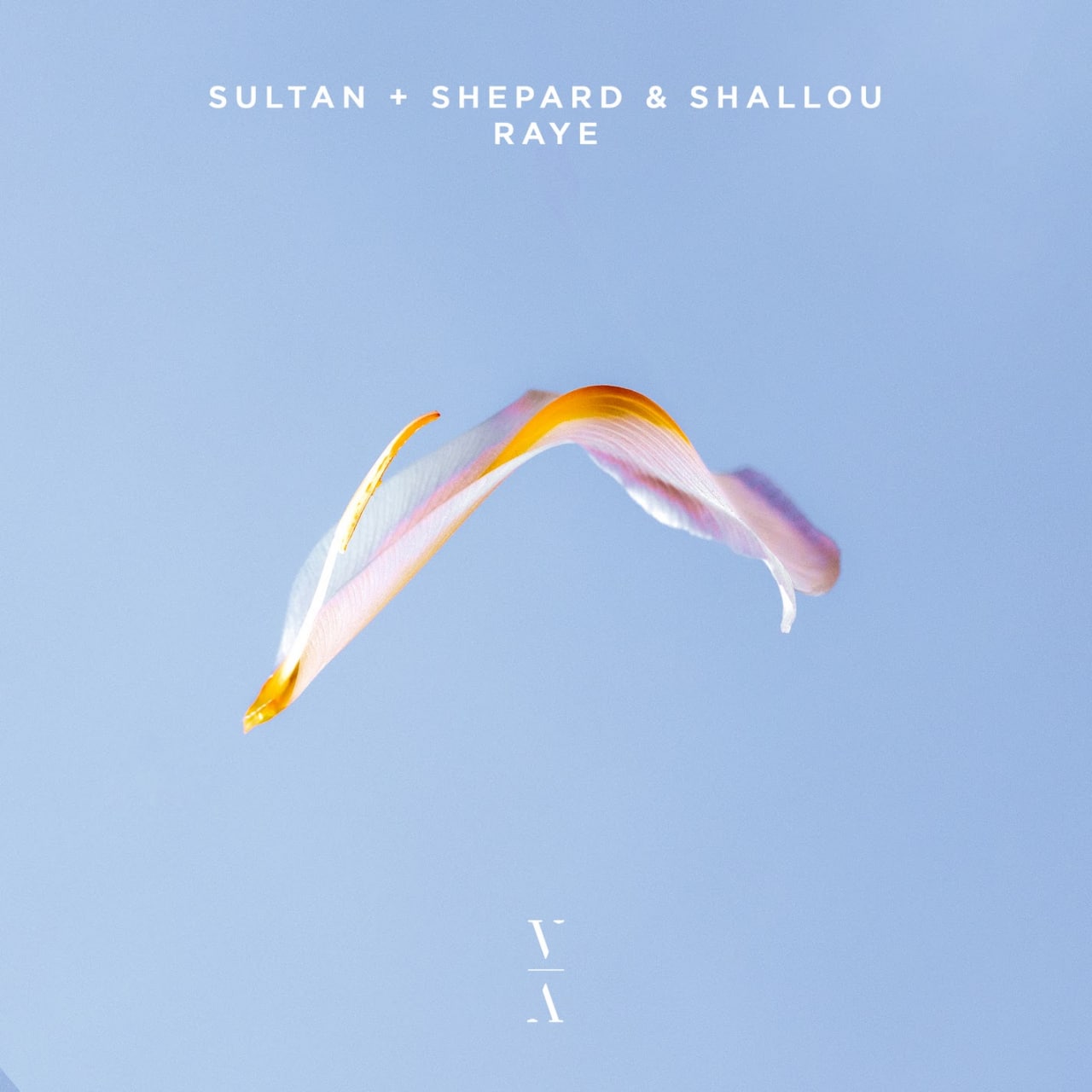 Sultan + Shepard & Shallou - Raye (Extended Mix)