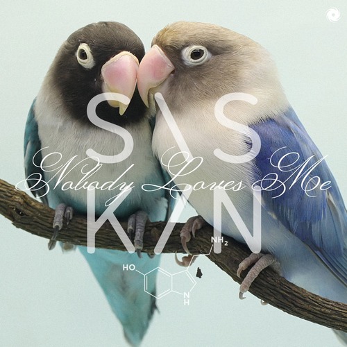 Siskin - Nobody Loves Me (Extended Mix)