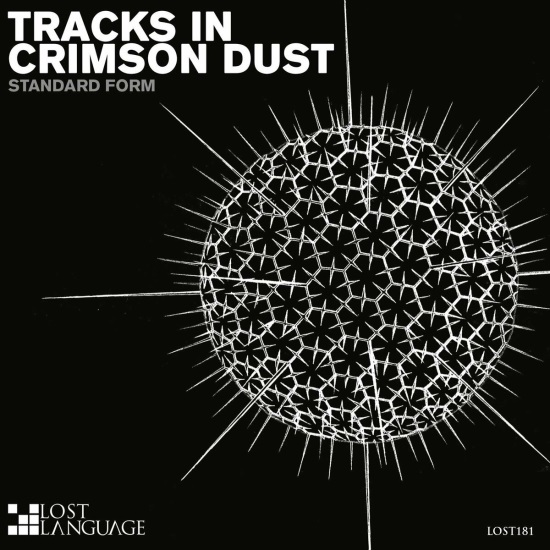 Standard Form - Tracks In Crimson Dust (Extended Spirit Mix)