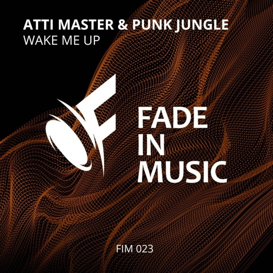 Atti Master & Punk Jungle - Wake Me Up (Extended)