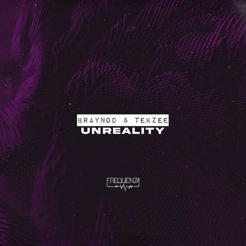 Tekzee, Braynod - Unreality (Original Mix)
