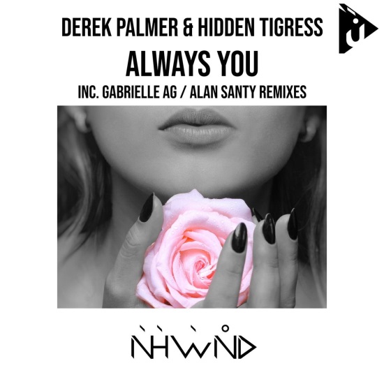 Derek Palmer & Hidden Tigress - Always You (Original Mix)