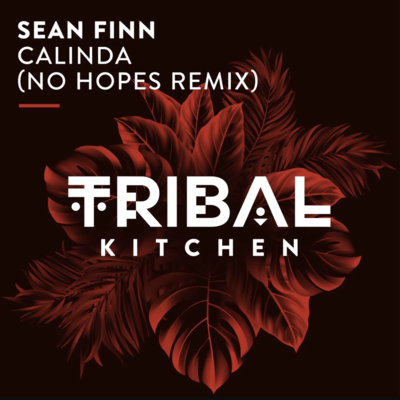 Sean Finn - Calinda (No Hopes Extended Remix)
