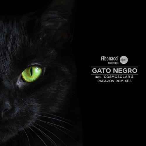 Jay Perlestein - Gato Negro (Papazov Abracadabra Remix)