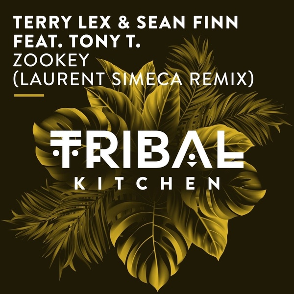 Terry Lex & Sean Finn Feat. Tony T. - Zookey  (Laurent Simeca Extended Remix)