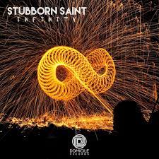 Stubborn Saint - Infinity (Original Mix)