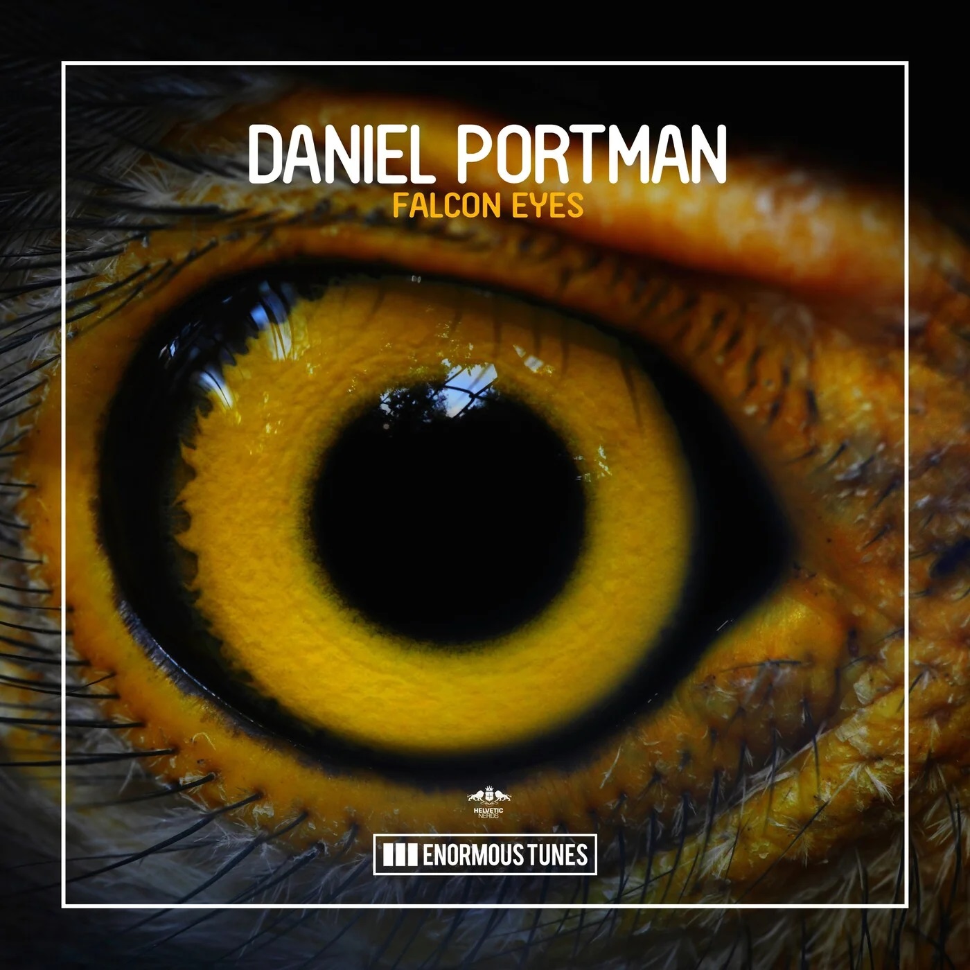 Daniel Portman - Falcon Eyes (Extended Mix)