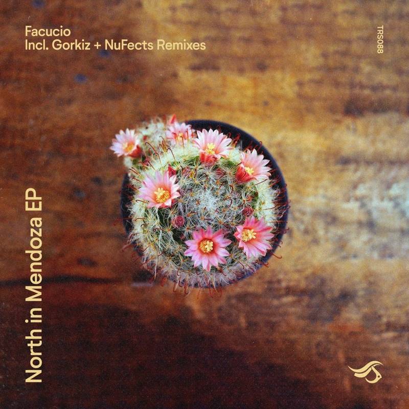 Facucio - North In Mendoza (Original Mix)