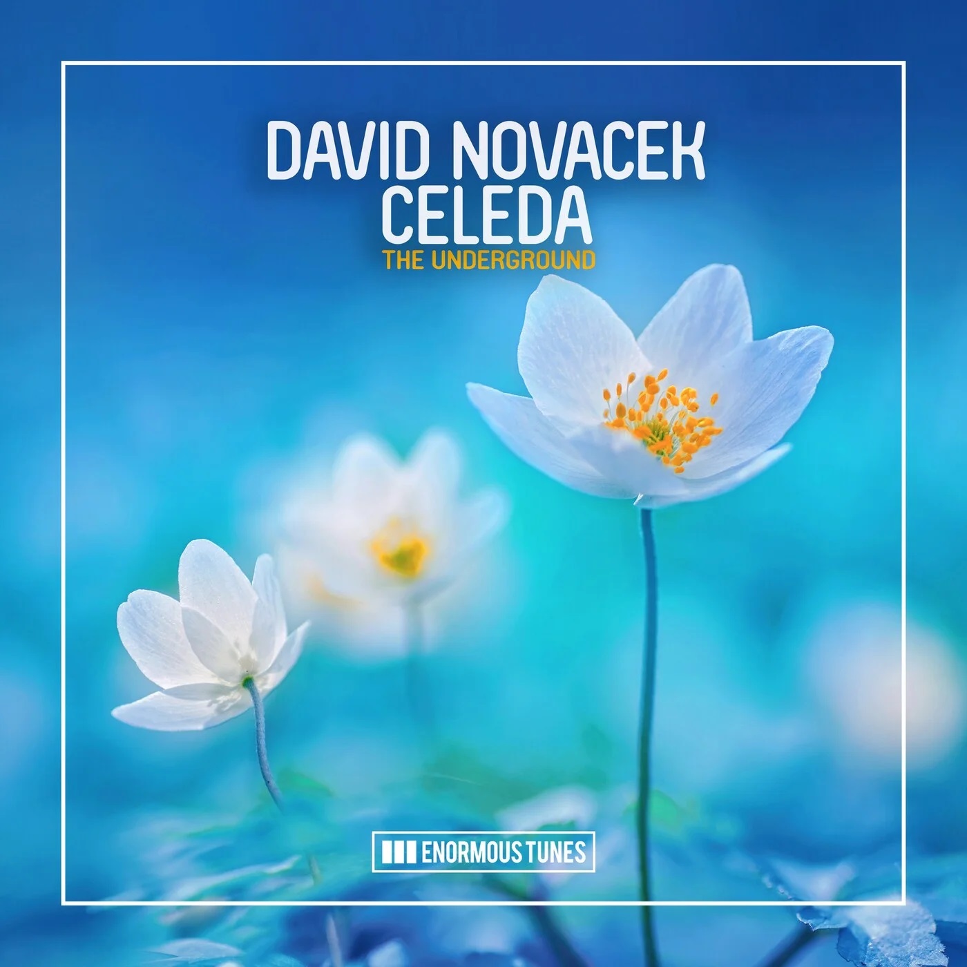 David Novacek Feat. Celeda - The Underground (Extended Mix)