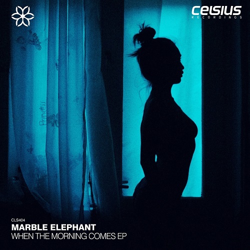 Marble Elephant - When The Morning Comes (Original Mix)