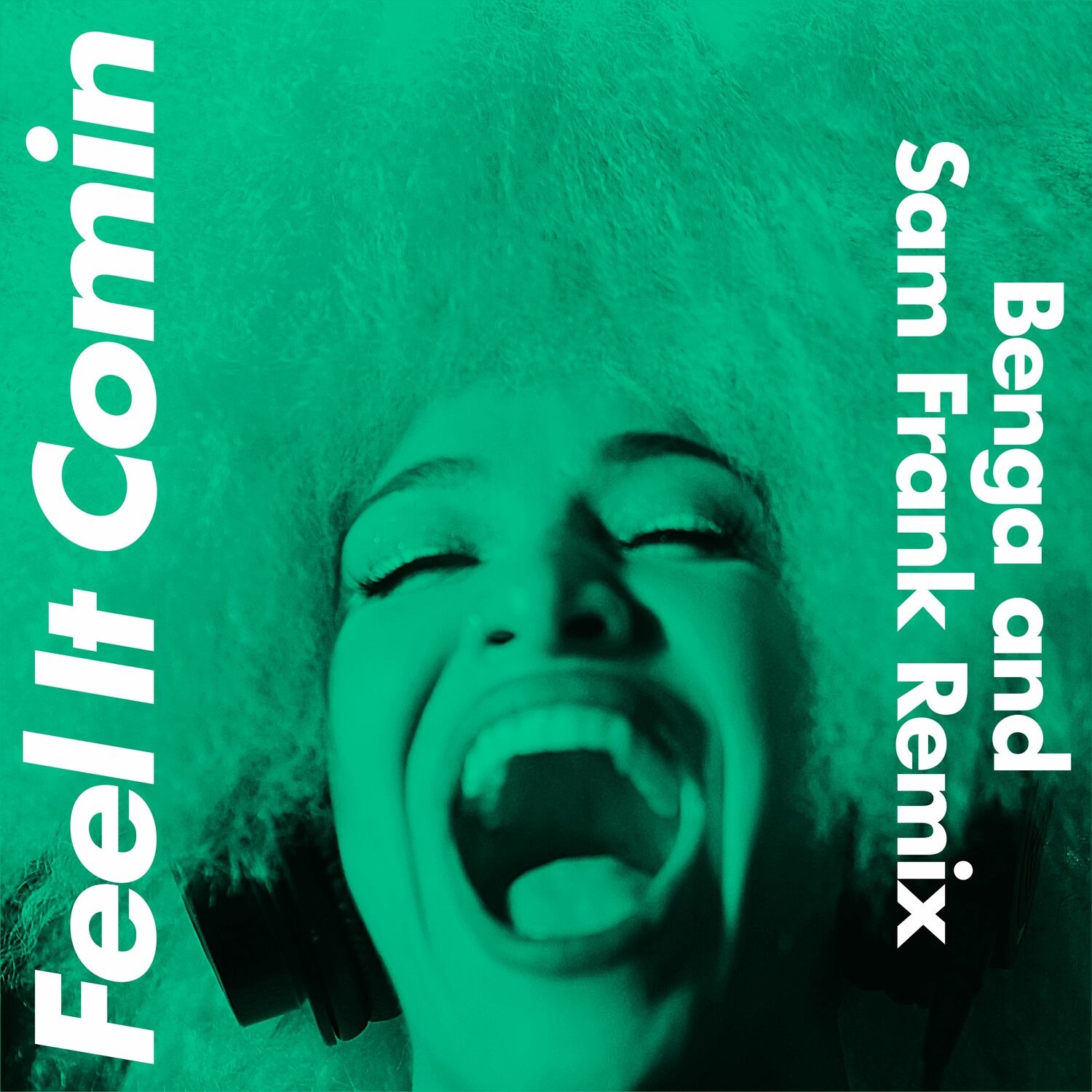 Lady Blackbird - Feel It Comin (Benga & Sam Frank Extended Remix)