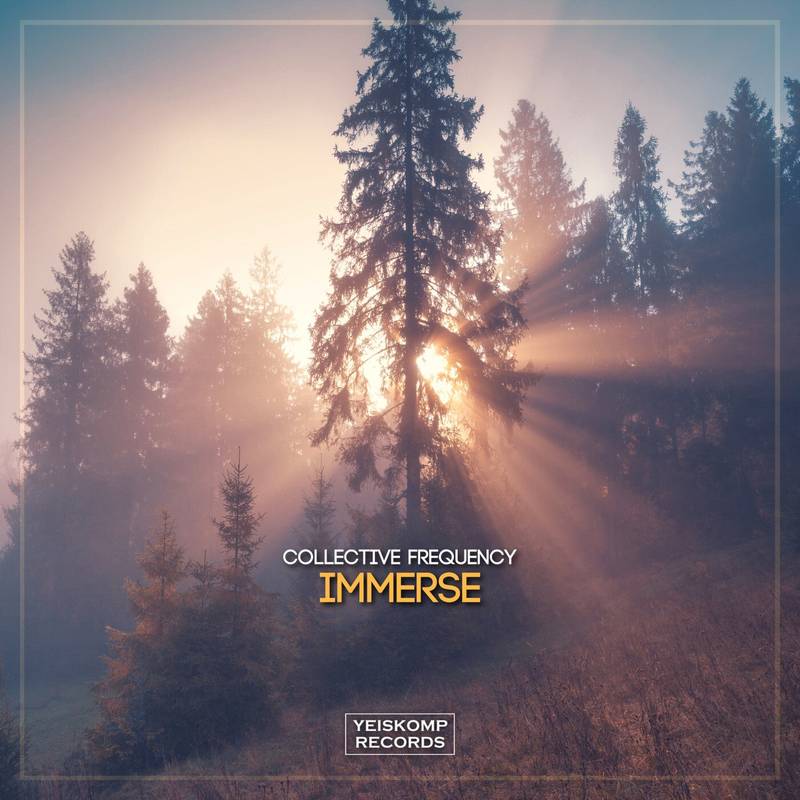 Collective Frequency - Immerse (Original Mix)