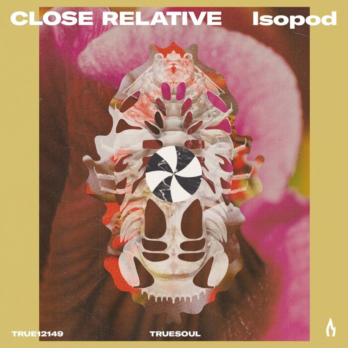 Close Relative - Isopod