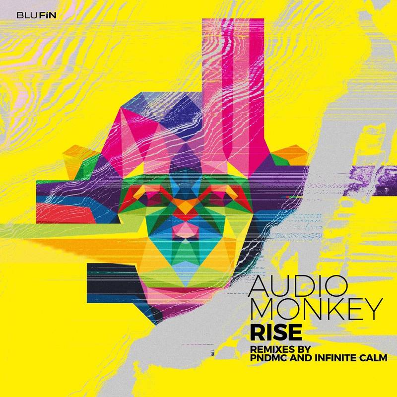 Audio Monkey - Rise (Pndmc Remix)