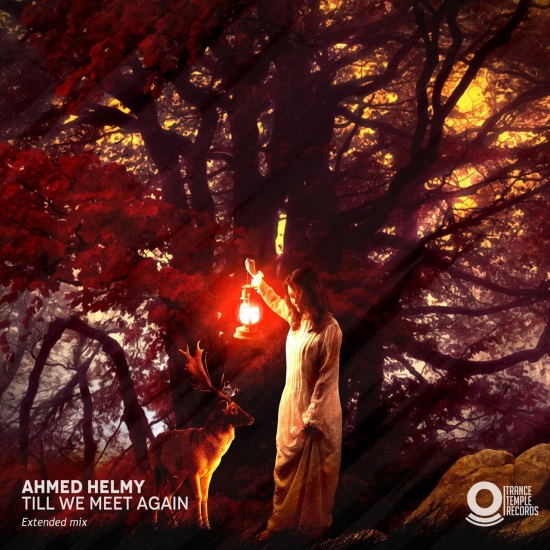 Ahmed Helmy - Till We Meet Again (Extended Mix)