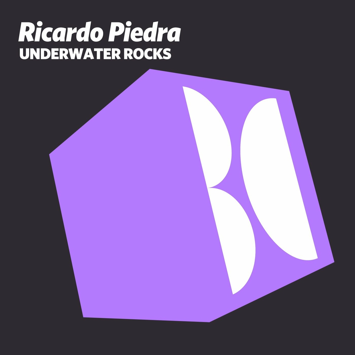 Ricardo Piedra - Underwater Rocks (Original Mix)