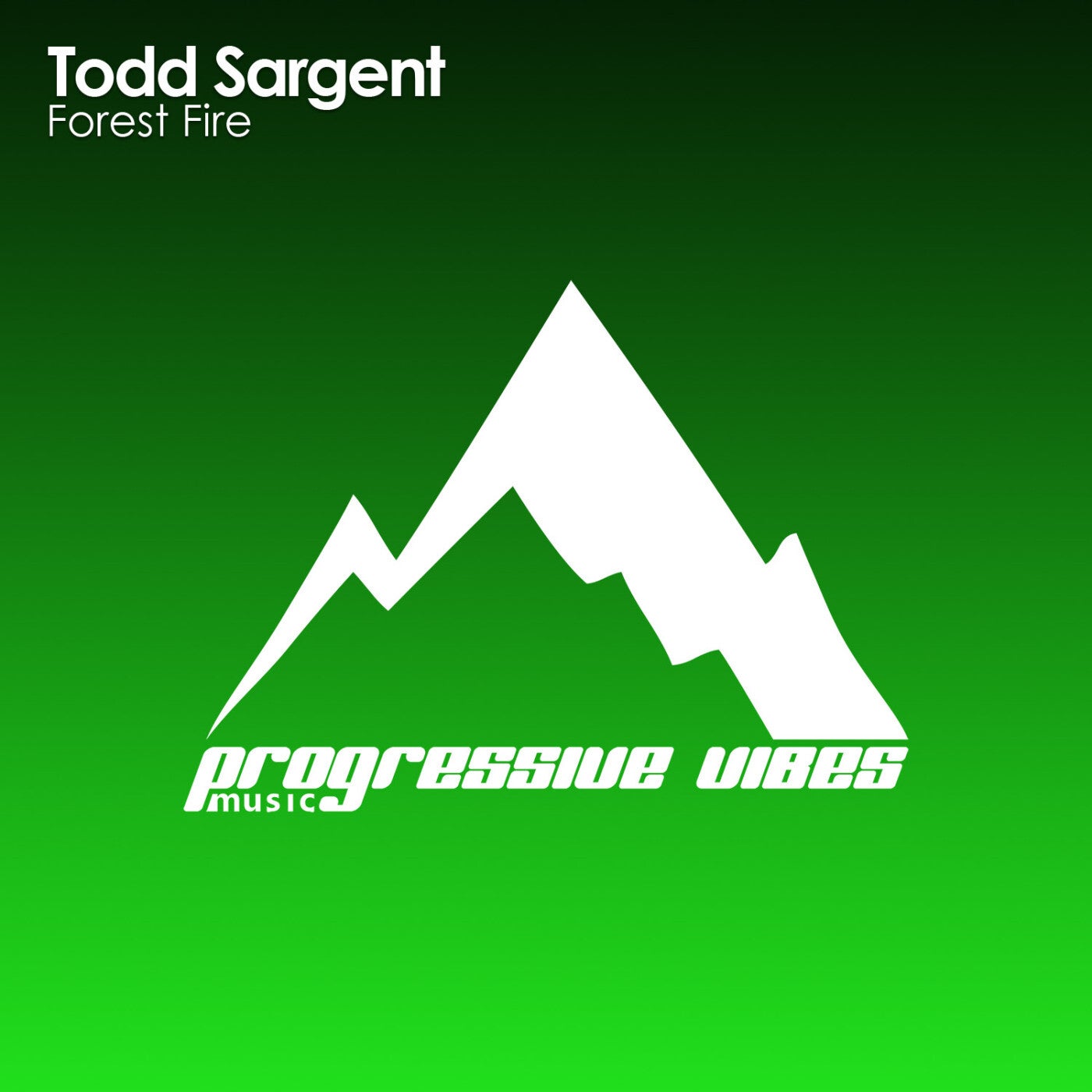 Todd Sargent - Forest Fire (Original Mix)