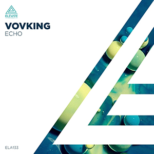 Vovking - Echo (Original Mix)