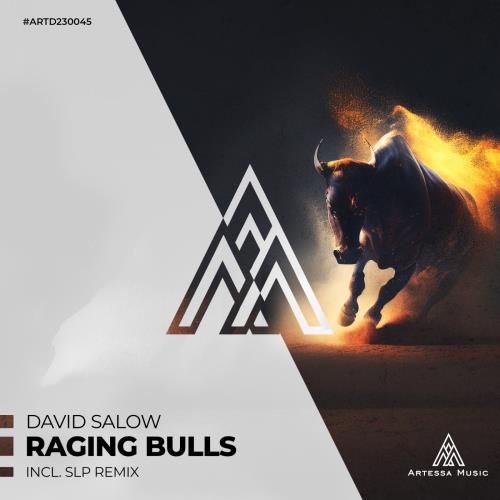 David Salow - Raging Bulls (SLP Remix)