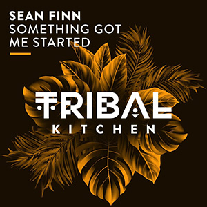 Sean Finn - Something Got Me Started (Extended Mix)