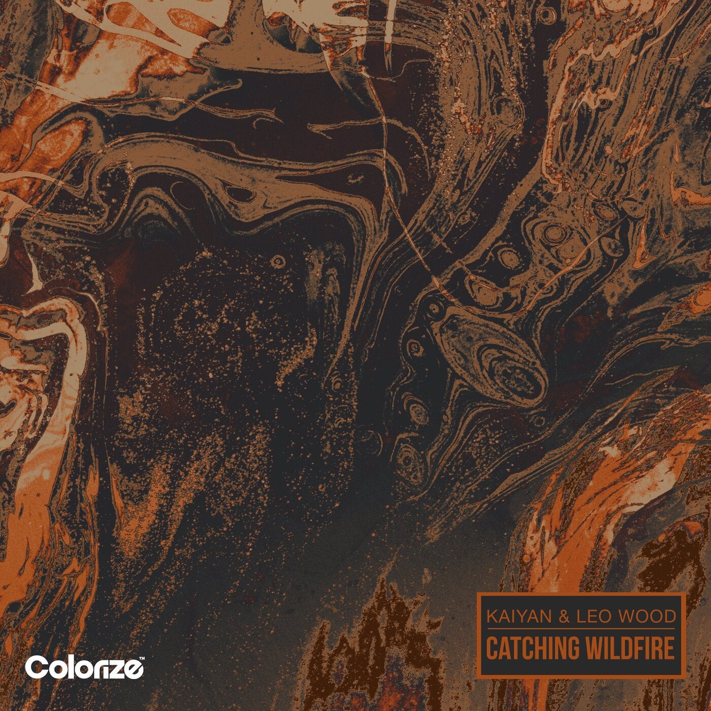 Leo Wood, Kaiyan - Catching Wildfire (Extended Mix)