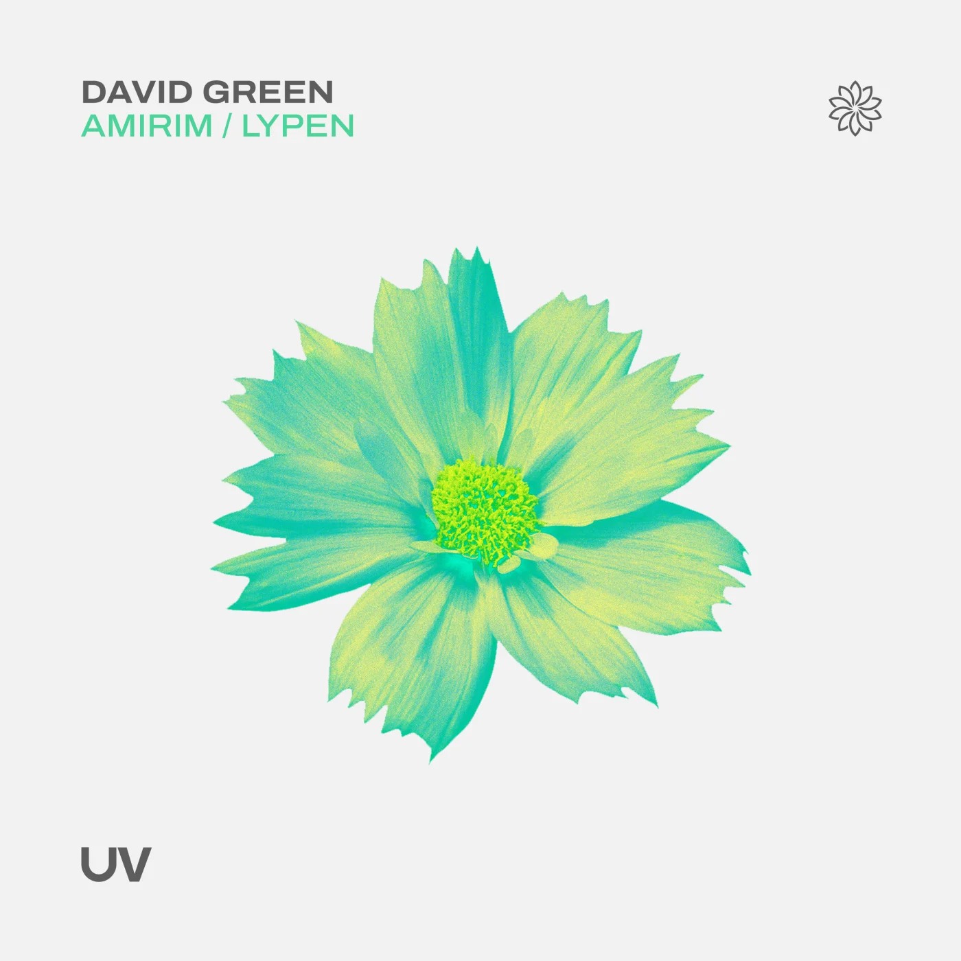 David Green - Lypen (Extended Mix)