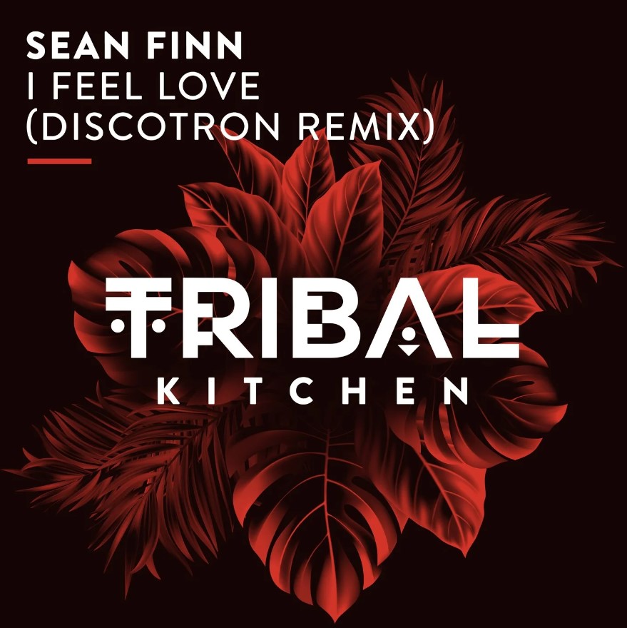 Sean Finn - I Feel Love (Discotron Extended Remix)