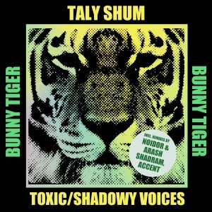 Taly Shum - Toxic (Original Mix)