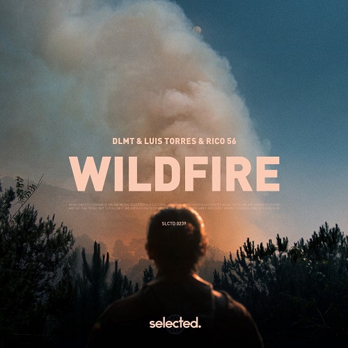 DLMT, Luis Torres & Rico 56 - Wildfire (Extended Mix)