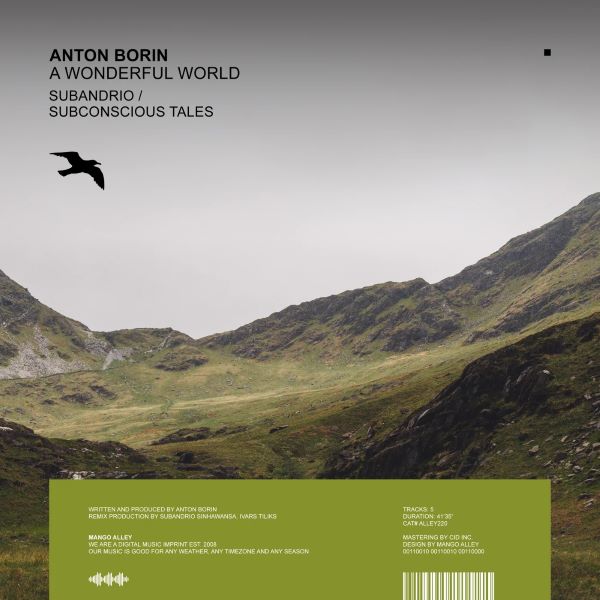 Anton Borin - Anatman (Subconscious Tales Remix)