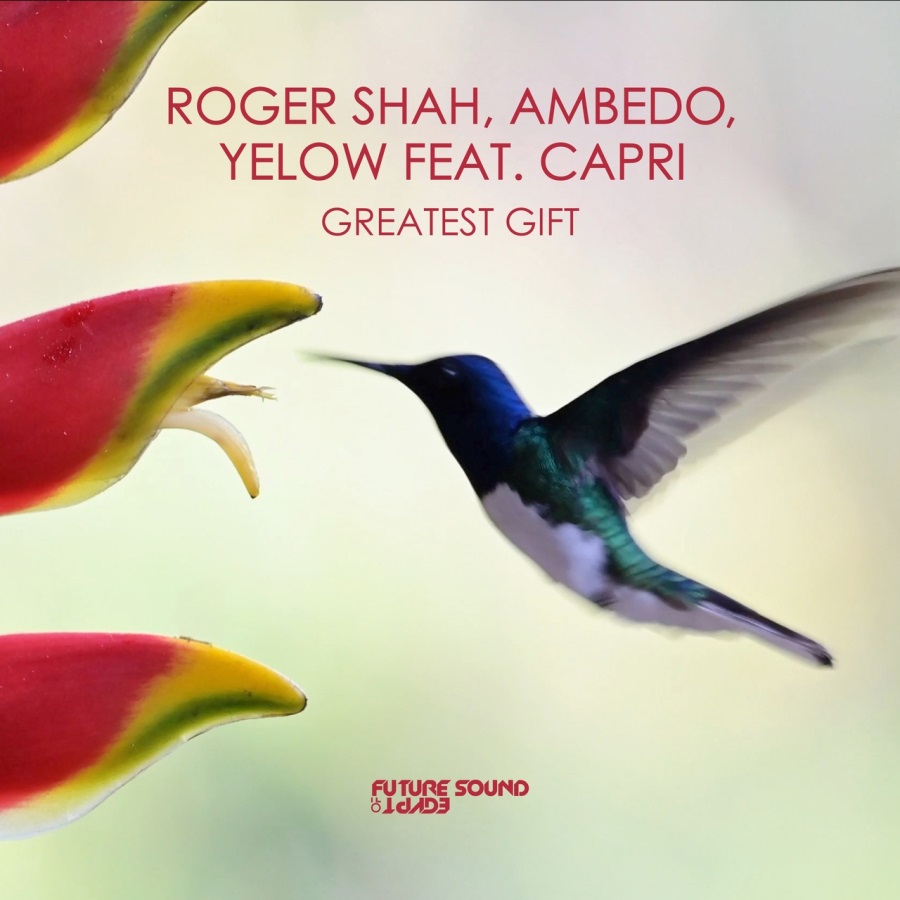 Roger Shah, Ambedo, Yelow Feat. Capri - Greatest Gift (Instrumental Mix)