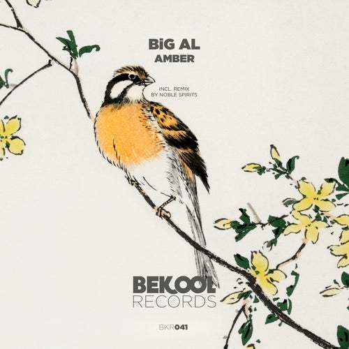 Big Al - Amber (Noble Spirits Remix)