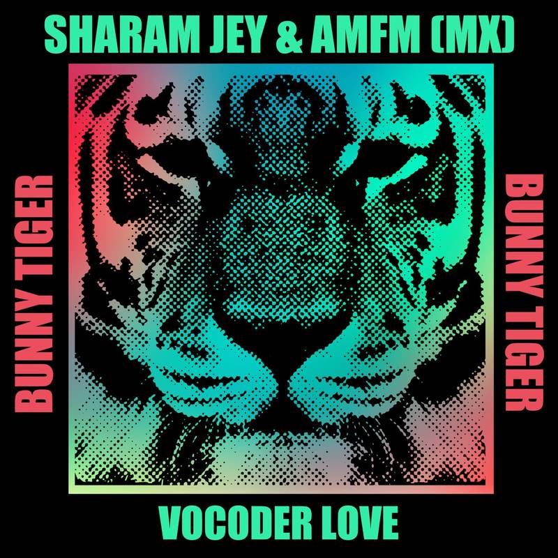 Sharam Jey & Amfm (Mx) - Vocoder Love (Original Mix)