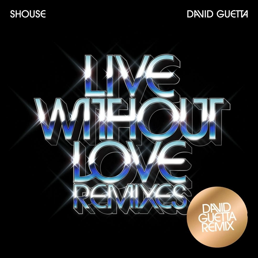 Shouse - Live Without Love (David Guetta Extended Remix)