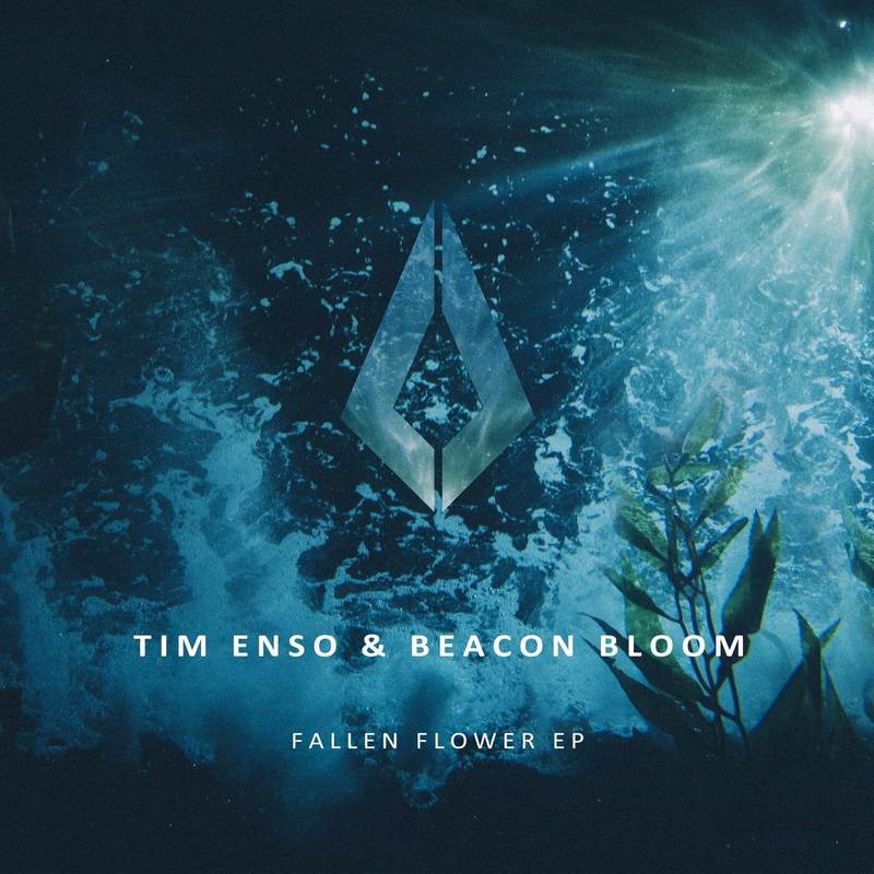 Tim Enso - Circle Of Life (Extended Mix)