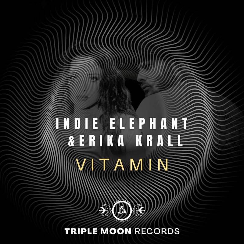 Erika Krall, Indie Elephant - Vitamin (Extended Mix)