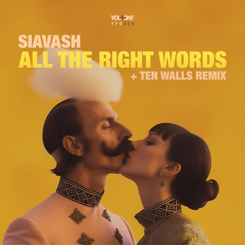 Siavash - All The Right Words (Ten Walls Remix)