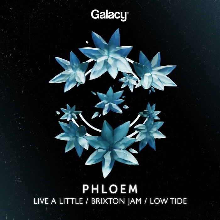 Phloem - Brixton Jam (Original Mix)